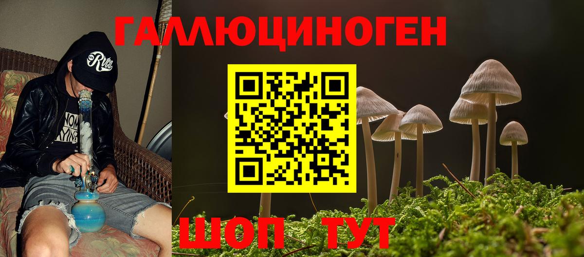 Галлюциногенные грибы Cubensis Томск